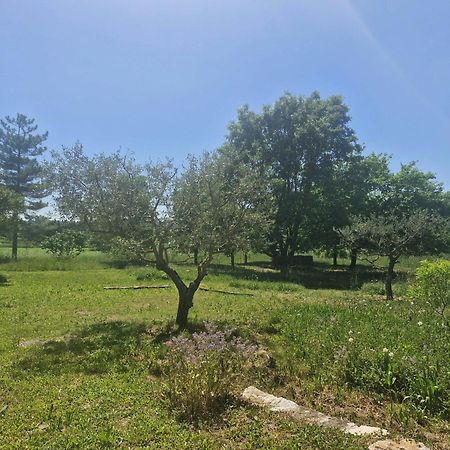 Apartament La Bastideta, Fayence Zewnętrze zdjęcie