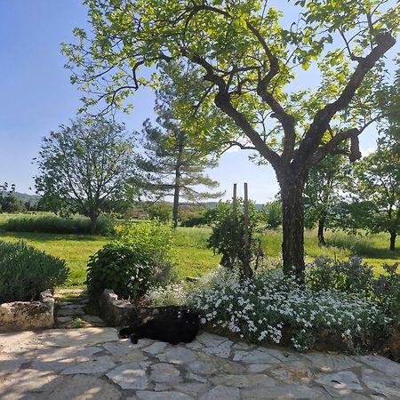 Apartament La Bastideta, Fayence Zewnętrze zdjęcie