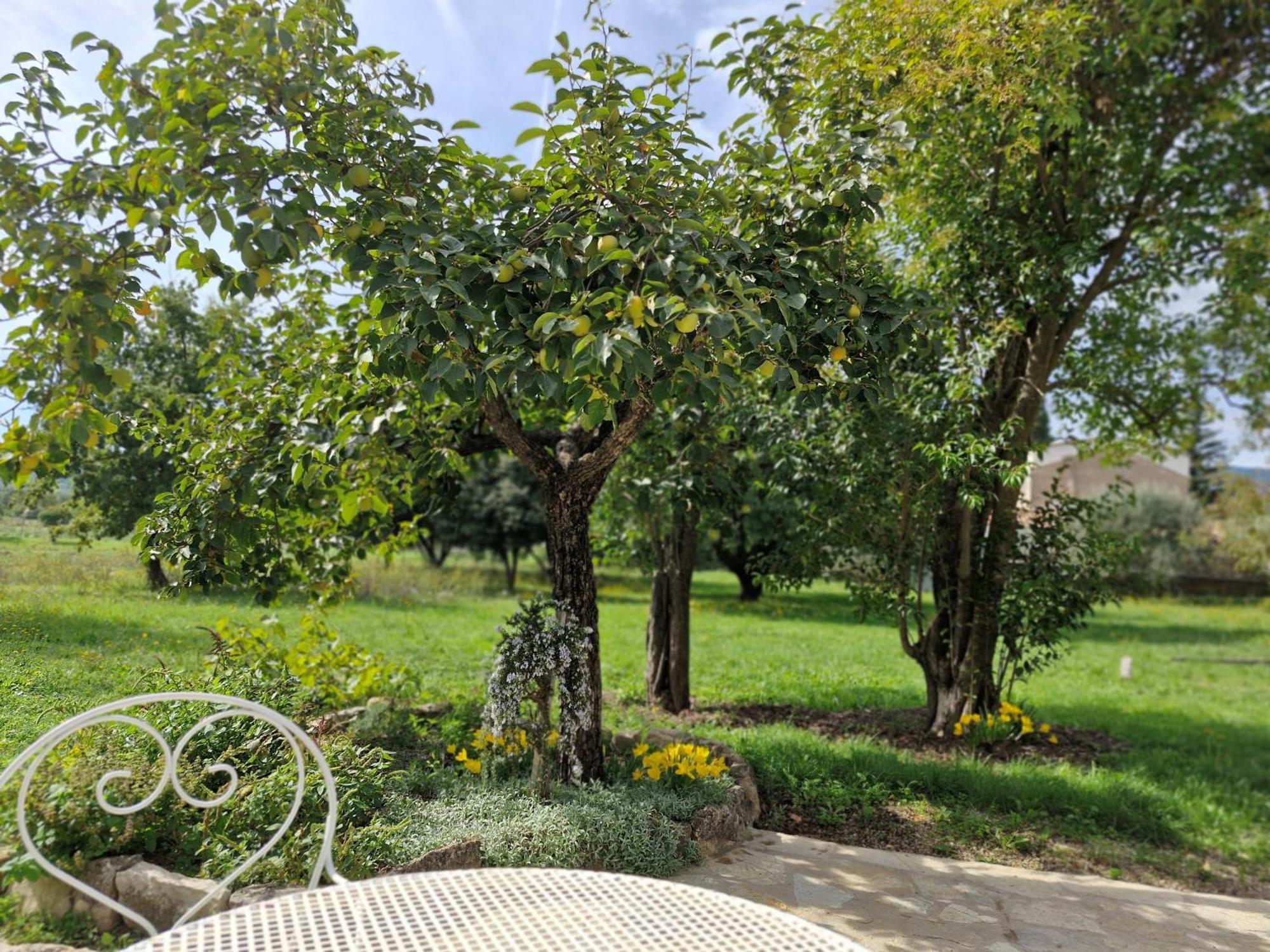Apartament La Bastideta, Fayence Zewnętrze zdjęcie