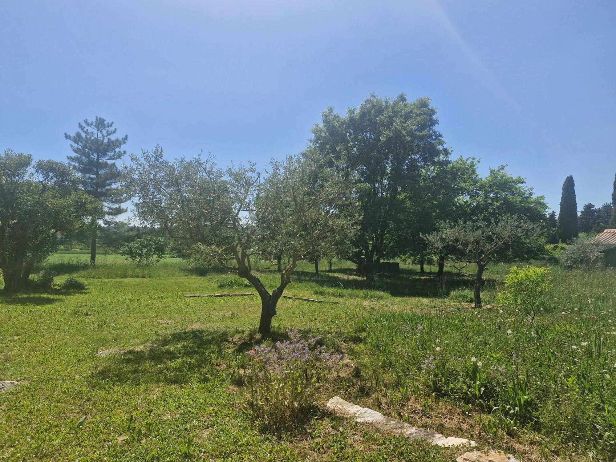 Apartament La Bastideta, Fayence Zewnętrze zdjęcie