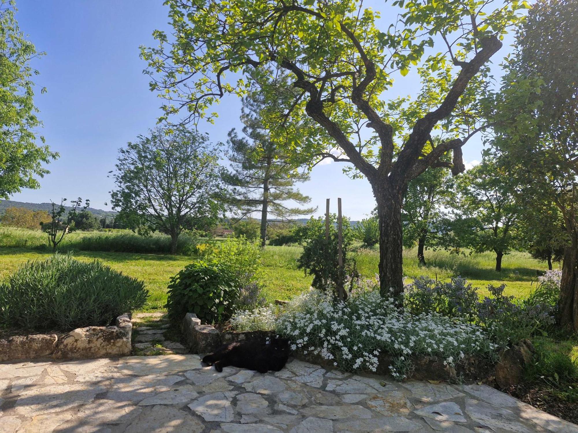 Apartament La Bastideta, Fayence Zewnętrze zdjęcie